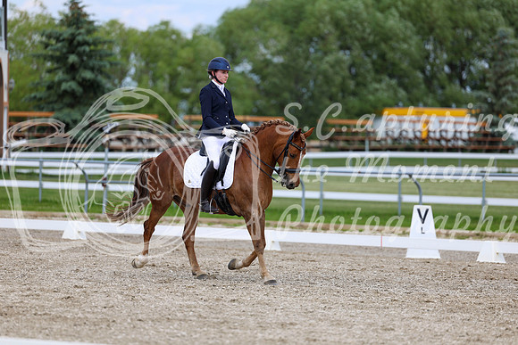2025 - Dressage Festival - Saturday July 5th - 11816