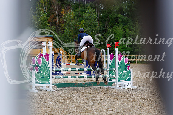2025 - Haylee - Picco Horse Show - Sunday July 27th 03793