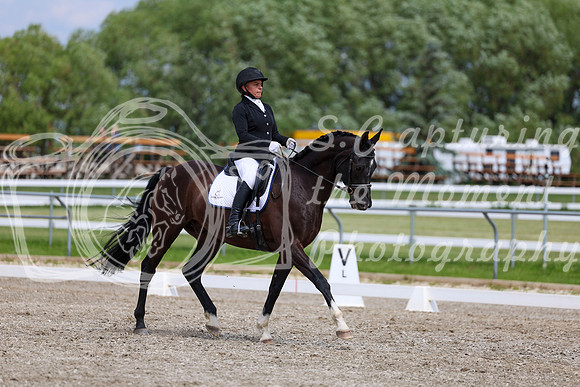 2025 - Dressage Festival - Saturday July 5th - 11406