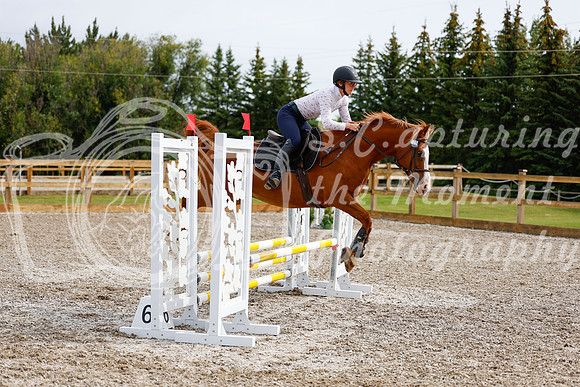 2025 - Haylee - Picco Horse Show - Friay July 25th 00913