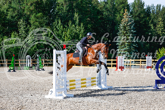 2025 - Haylee - Picco Horse Show - Thursday July 24th 00865
