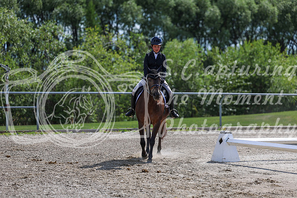 2025 - Dressage Festival - Saturday July 5th - 15420
