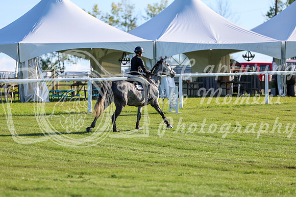2025 - Shea - Teesdale - Friday July 25th - 03396