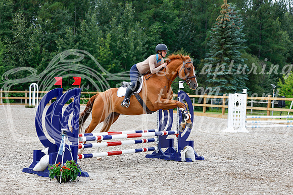 2025 - Haylee - Picco Horse Show - Saturday July 26th 01618