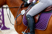 2025 - Haylee - Picco Horse Show - Saturday July 26th 01671