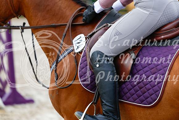 2025 - Haylee - Picco Horse Show - Saturday July 26th 01671