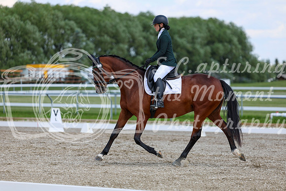 2025 - Dressage Festival - Saturday July 5th - 09498