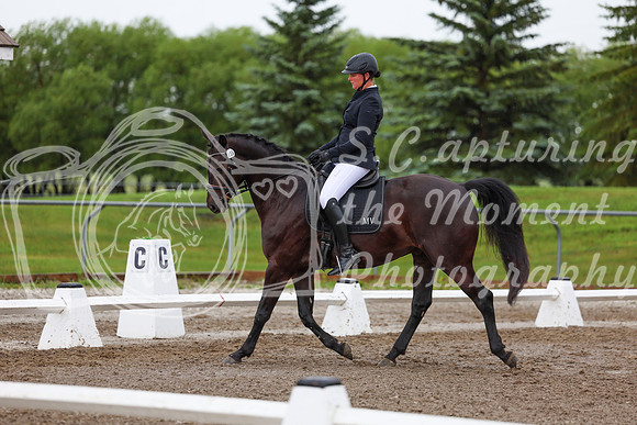 2025 - Dressage Festival - Sunday July 6th - 01907