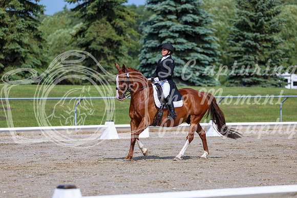 2025 - Dressage Festival - Saturday July 5th - 02605