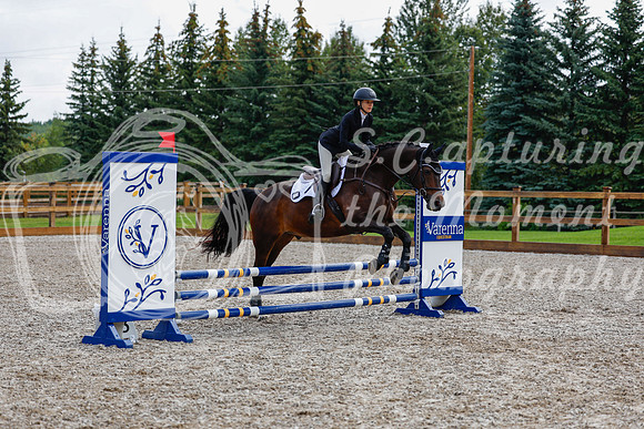 2025 - Haylee - Picco Horse Show - Sunday July 27th 02103