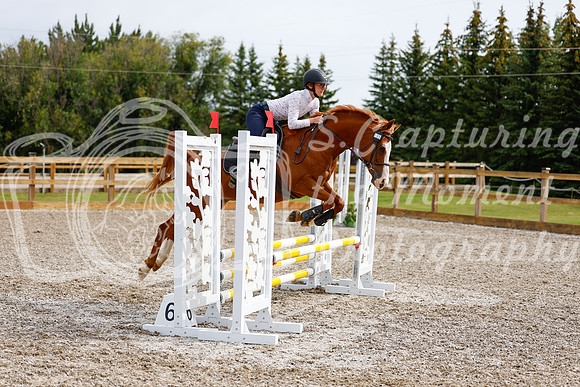 2025 - Haylee - Picco Horse Show - Friay July 25th 00911