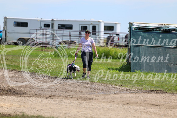 2025 - Shea - Teesdale - Thursday July 24th - 02144