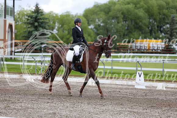 2025 - Dressage Festival - Sunday July 6th - 09580