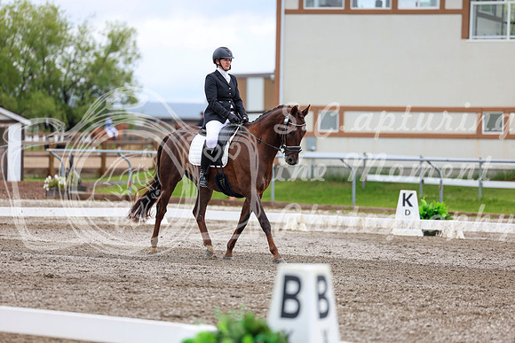 2025 - Dressage Festival - Sunday July 6th - 09573