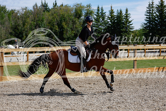 2025 - Haylee - Picco Horse Show - Thursday July 24th 02251