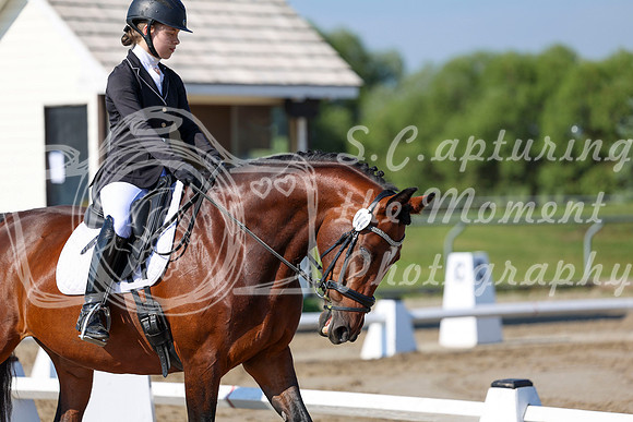 2025 - Dressage Festival - Saturday July 5th - 01249