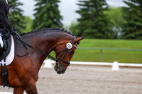 2025 - Dressage Festival - Sunday July 6th - 00826