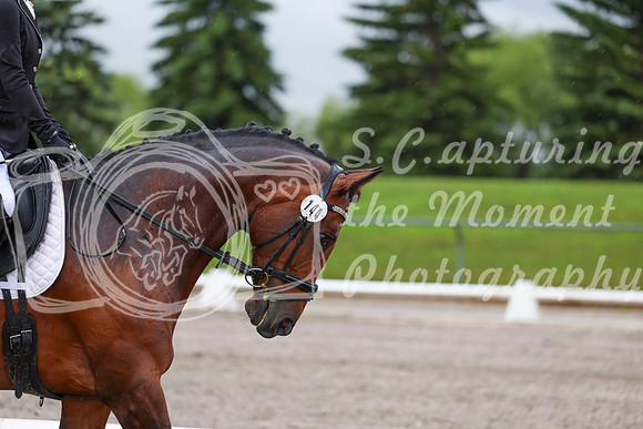 2025 - Dressage Festival - Sunday July 6th - 00826