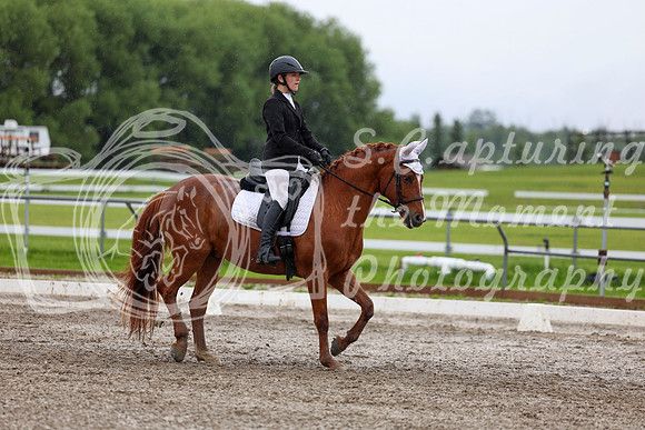 2025 - Dressage Festival - Sunday July 6th - 06094