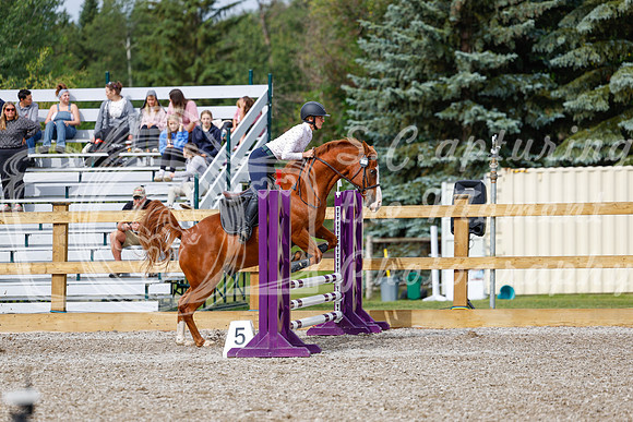 2025 - Haylee - Picco Horse Show - Friay July 25th 00907