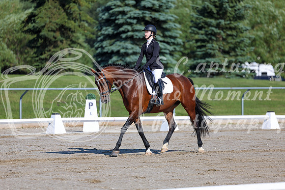 2025 - Dressage Festival - Saturday July 5th - 01259