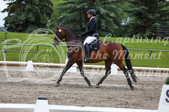 2025 - Dressage Festival - Sunday July 6th - 09053