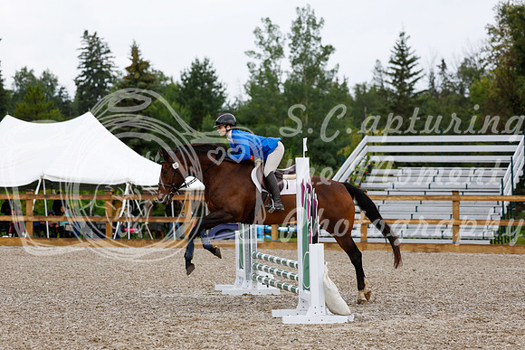 2025 - Haylee - Picco Horse Show - Sunday July 27th 00342