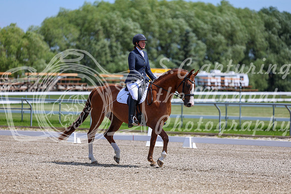2025 - Dressage Festival - Saturday July 5th - 06367