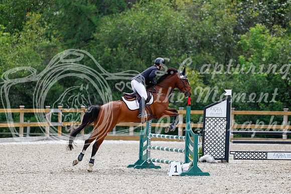 2025 - Haylee - Picco Horse Show - Sunday July 27th 03874