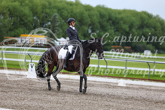 2025 - Dressage Festival - Sunday July 6th - 04531
