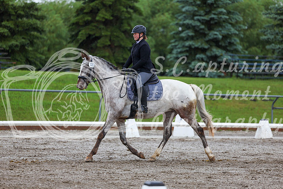 2025 - Dressage Festival - Sunday July 6th - 02130