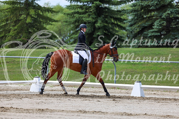 2025 - Dressage Festival - Saturday July 5th - 07306