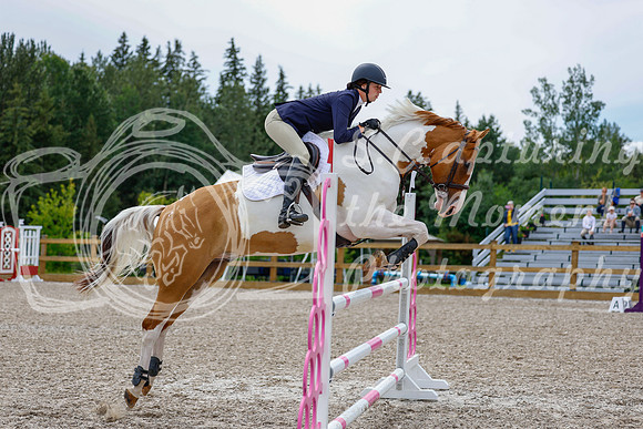 2025 - Haylee - Picco Horse Show - Friay July 25th 03621