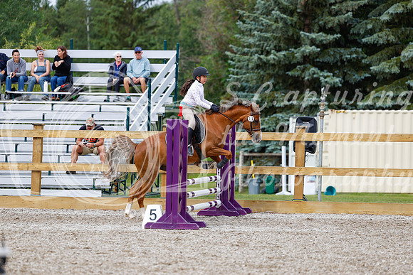 2025 - Haylee - Picco Horse Show - Friay July 25th 01322
