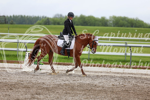 2025 - Dressage Festival - Sunday July 6th - 06163