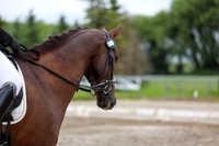 2025 - Dressage Festival - Sunday July 6th - 09561