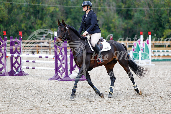 2025 - Haylee - Picco Horse Show - Saturday July 26th 05682