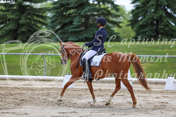 2025 - Dressage Festival - Saturday July 5th - 13795