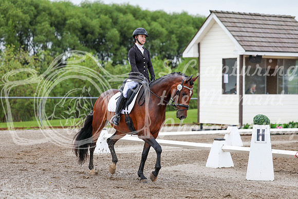 2025 - Dressage Festival - Sunday July 6th - 00818
