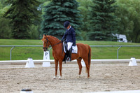 2025 - Dressage Festival - Saturday July 5th - 13768