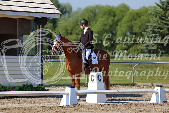 2025 - Dressage Festival - Saturday July 5th - 01636
