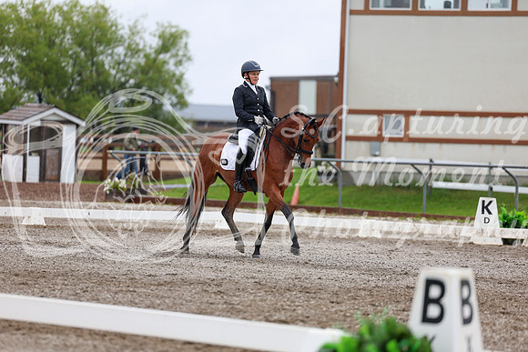 2025 - Dressage Festival - Sunday July 6th - 06508
