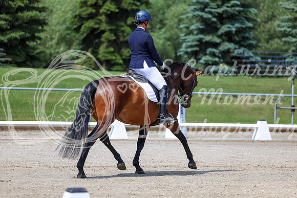 2025 - Dressage Festival - Saturday July 5th - 06109