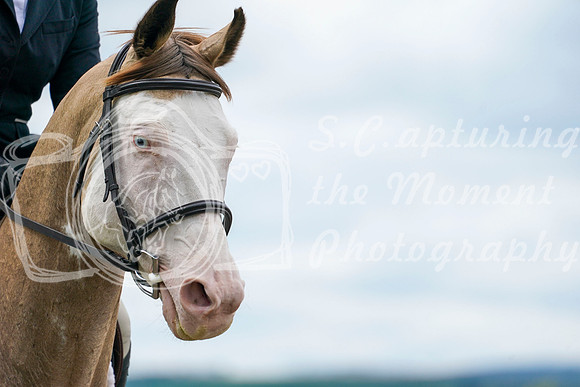 2025 - Kiana - Teesdale - Friday July 25th - 02174