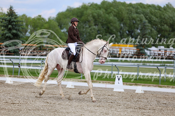 2025 - Dressage Festival - Saturday July 5th - 12079