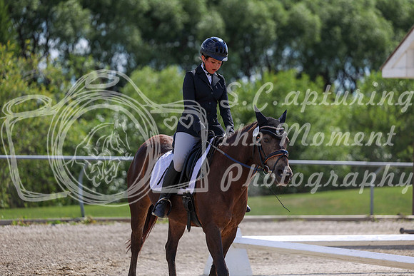 2025 - Dressage Festival - Saturday July 5th - 15431