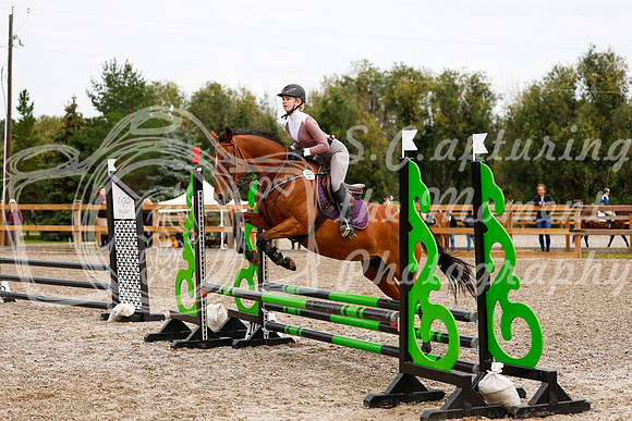2025 - Haylee - Picco Horse Show - Saturday July 26th 01722