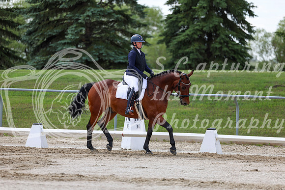 2025 - Dressage Festival - Saturday July 5th - 09740
