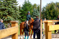 2025 - Haylee - Picco Horse Show - Sunday July 27th 02384