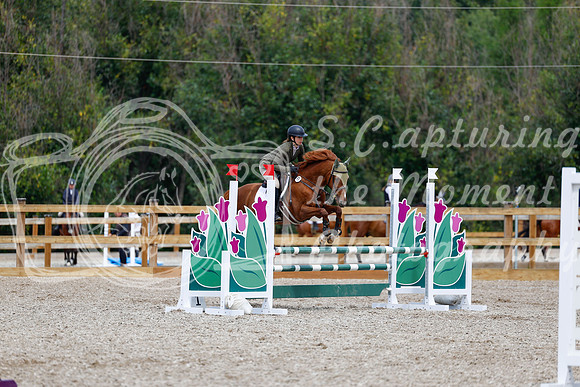 2025 - Haylee - Picco Horse Show - Saturday July 26th 06083